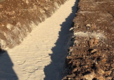 2025.12.11_SIB_FieldPhotos_4